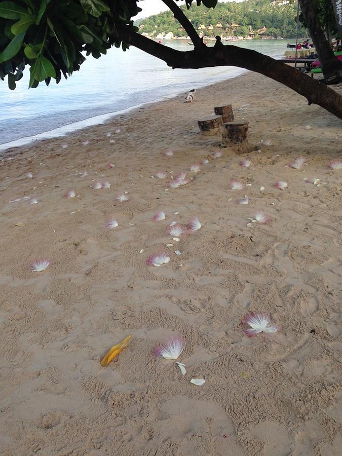 Grand Beach Resort Ko Tao Dış mekan fotoğraf